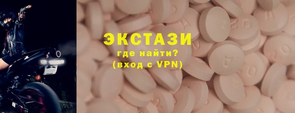 СК Богородицк